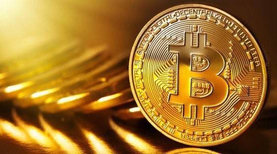 王中王285期指一生肖，深度解析与预测，王中王285期生肖深度解析与预测，揭秘生肖运势走向