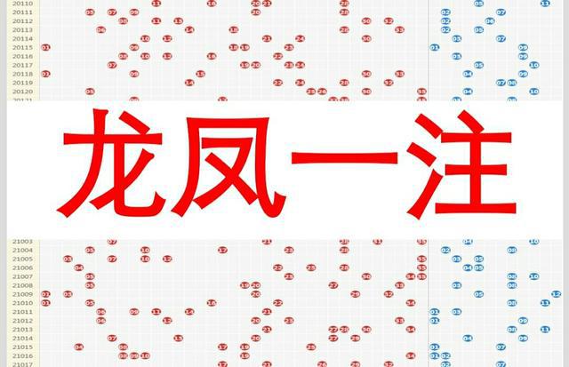 王中王080期指一生肖，深度解读与SEO策略，王中王080期生肖深度解读与SEO策略全解析
