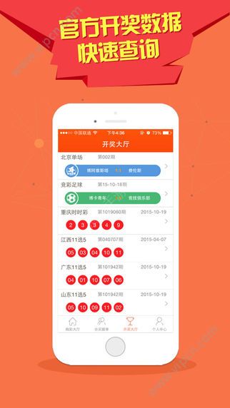 新澳门天天彩期期精准，揭秘彩票背后的秘密策略与技巧，揭秘新澳门天天彩精准策略与技巧，彩票背后的秘密策略揭秘