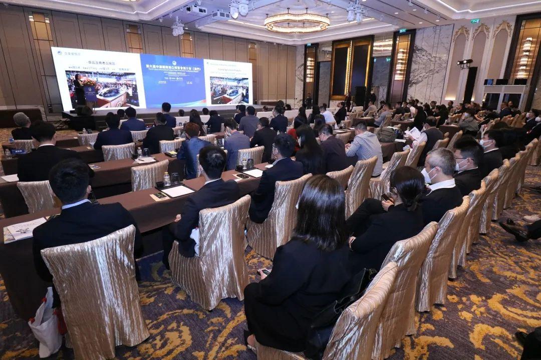澳门今晚必开一肖一特第284期，深度解析与预测，澳门第284期深度解析与预测，今晚必开一肖一特揭秘