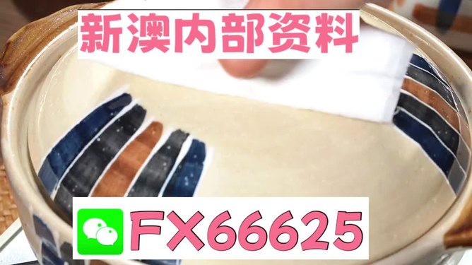 新澳精准资料免费提供，探索与实践的指南，新澳精准资料免费分享，探索与实践的导航指南