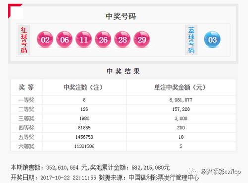 王中王101期指一生肖，深度解析与SEO优化策略，王中王101期生肖深度解析与SEO策略优化指南