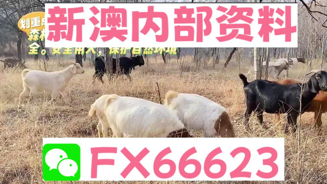 新澳2025今晚开奖资料四不像解析与预测，新澳2025今晚开奖资料解析与预测，四不像现象探讨