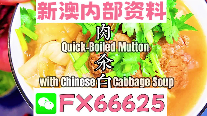 管家婆四不象必中一肖——揭秘背后的秘密，揭秘管家婆四不象必中一肖的神秘面纱