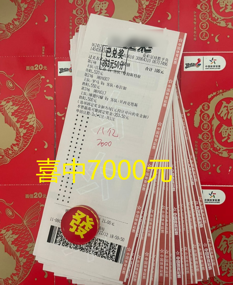 澳彩公证处一码三中三，专业、公正、透明的彩票服务典范，澳彩公证处，专业、公正、透明的彩票服务典范，一码三中三引领行业标杆