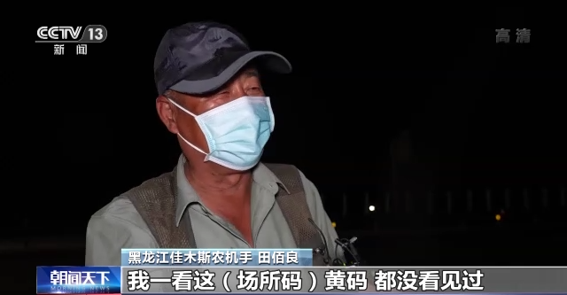 一肖三码与赌神王中王，揭秘背后的秘密，揭秘一肖三码与赌神王中王背后的秘密