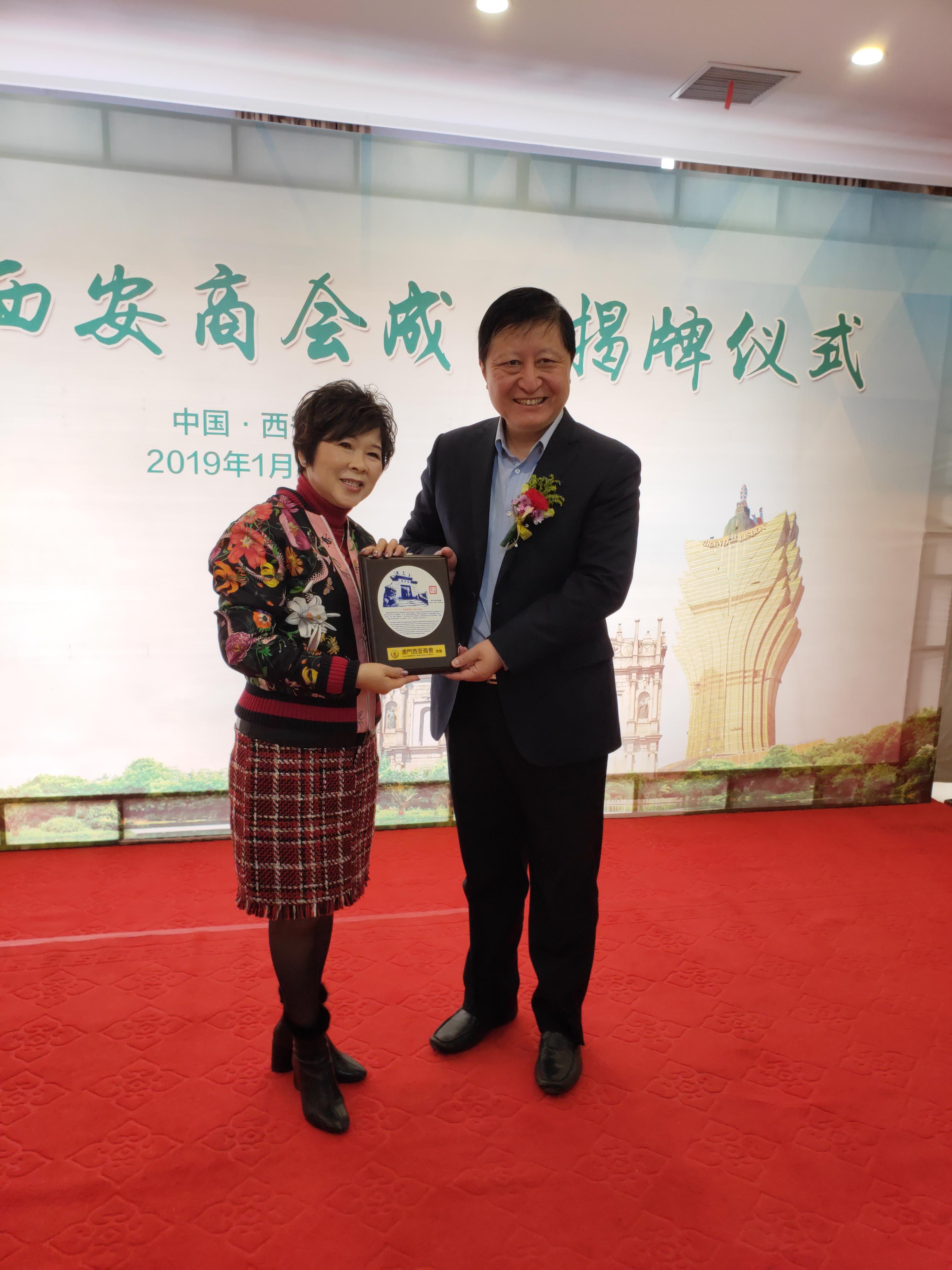 新澳门一肖单像，揭秘彩票背后的秘密，揭秘新澳门彩票背后的秘密，一肖单像彩票真相探索