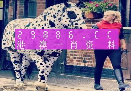 香港王中王一肖中特，揭秘彩票背后的秘密与策略，揭秘彩票背后的秘密与策略，香港王中王一肖中特探讨彩票策略与真相