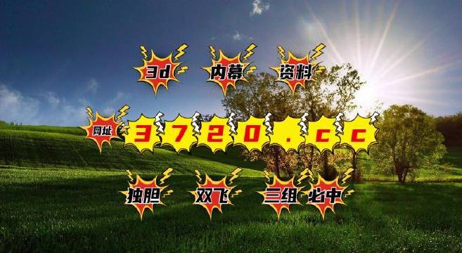 新澳一码三中三资料，深度解析与SEO优化策略，新澳一码三中三资料深度解析与SEO优化策略指南