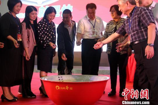 一码一肖100王中王，揭秘背后的秘密与独特魅力，揭秘一码一肖100王中王背后的秘密与独特魅力