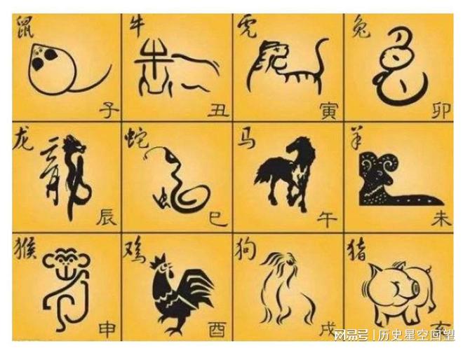 十字码相连代表的生肖解析，十字码相连代表的生肖详解