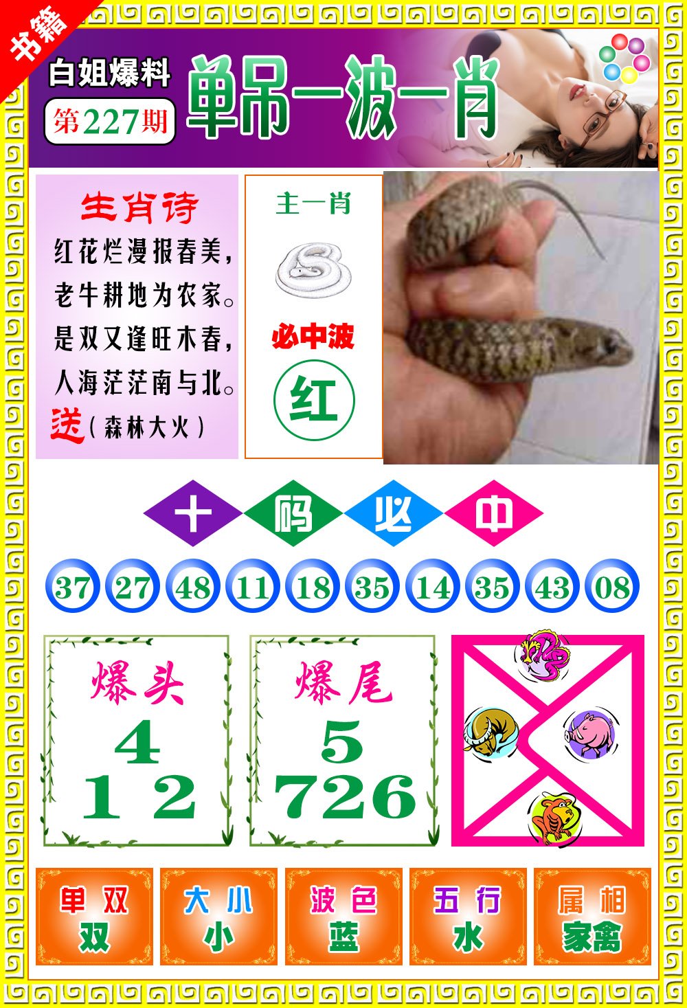 王中王免费开奖结果一肖——揭秘彩票背后的秘密，揭秘彩票背后的秘密，王中王免费开奖结果一肖揭晓