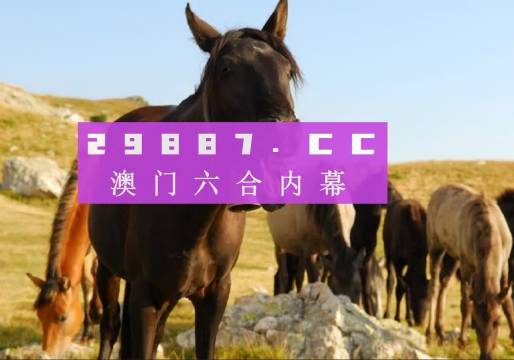 管家婆必开一肖一码，澳门精准预测揭秘，管家婆精准预测揭秘，澳门一肖一码必开之选