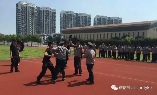 澳门一码一肖一恃一中，揭秘彩票背后的秘密与策略（第312期深度解析），澳门彩票揭秘，一码一肖一恃一中背后的秘密与策略解析（第312期深度探讨）