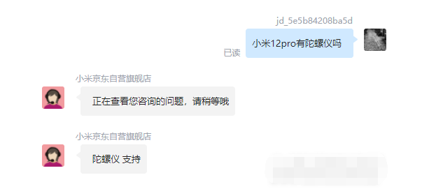 一肖二码大公开，揭秘生肖与幸运码的神秘联系，揭秘生肖与幸运码神秘联系，一肖二码大公开