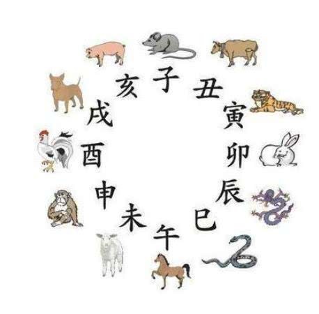 揭秘1514背后的神秘面纱，探寻十二生肖的9码奥秘，揭秘十二生肖背后的神秘面纱，探索数字组合与秘密的奥秘（以生肖与数字结合）