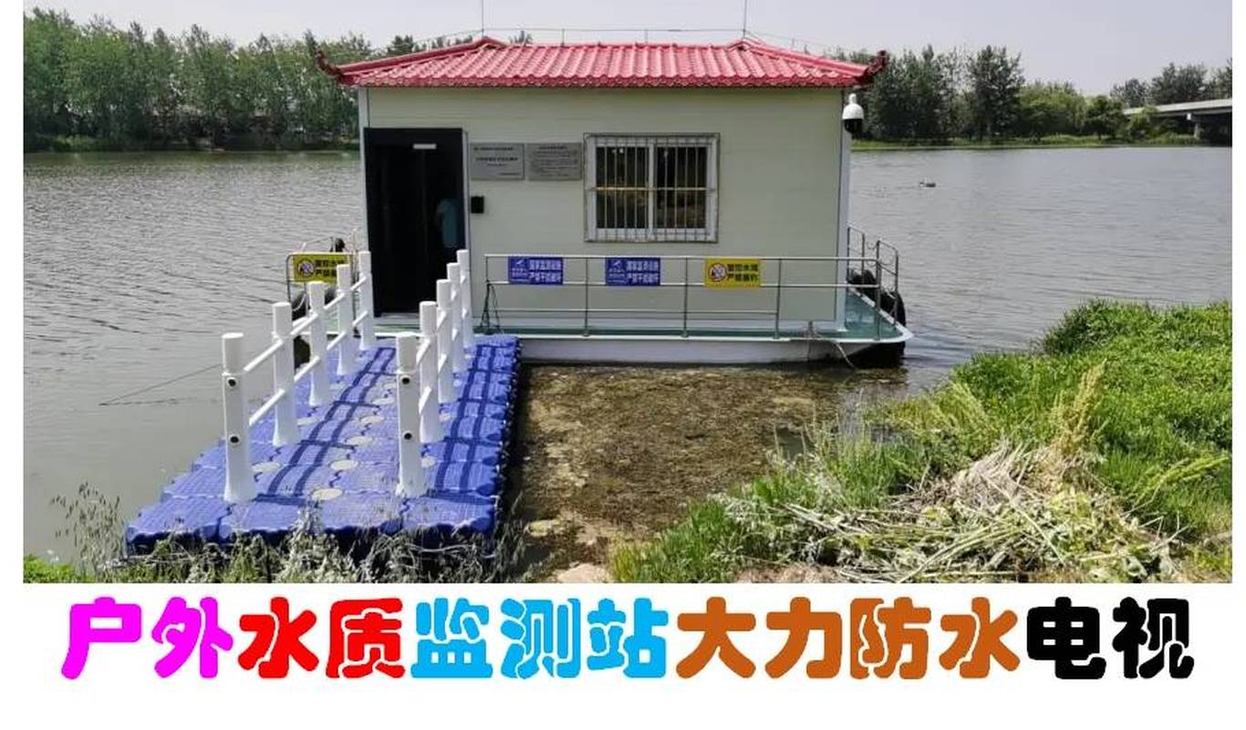 王中王选一肖中特，深度解析与探索，王中王选一肖中特深度解析与探索揭秘