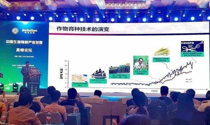 王中王一肖一特一中的深度评价，王中王一肖一特一中的全面深度评价
