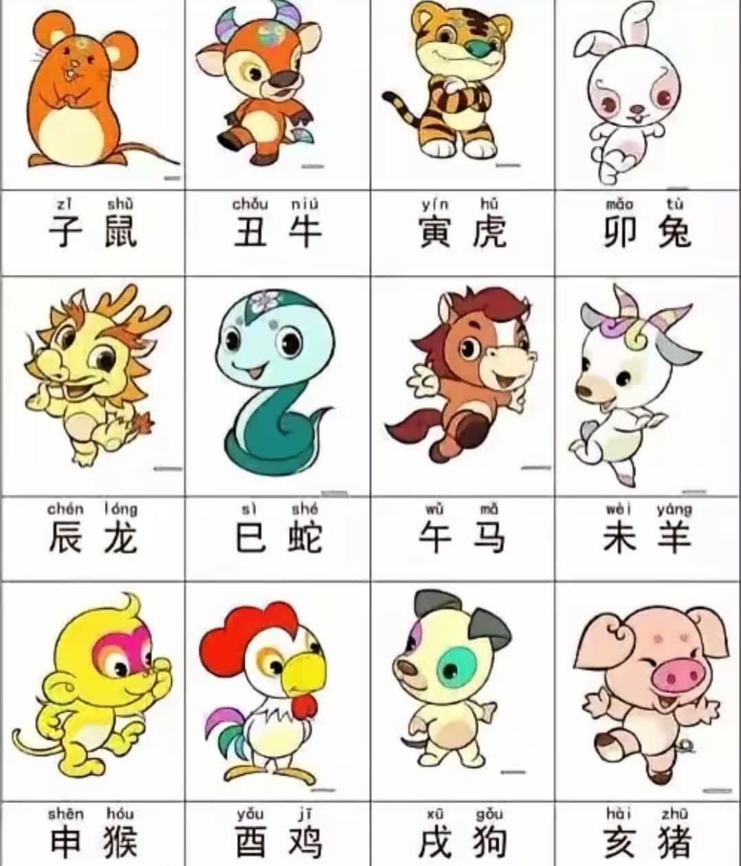 管家打一个正确的生肖——揭秘生肖与管理的神秘联系，揭秘生肖管家，生肖与管理的神秘联系探索