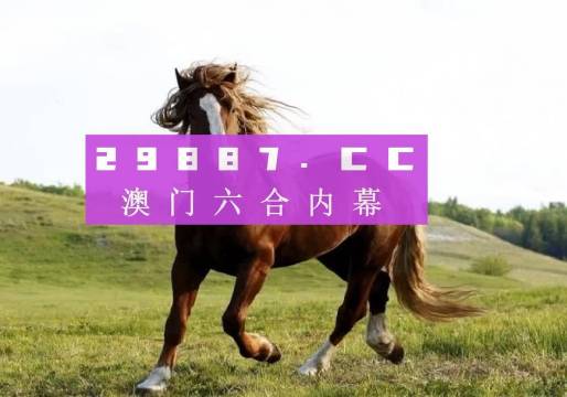 新澳门六开奖结果及开奖记录高速查询指南，澳门六开奖结果及记录高速查询指南