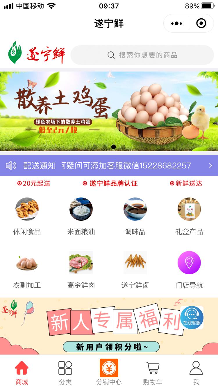 王中王遂宁平台一肖中特，探索与解析，王中王遂宁平台一肖中特，深度探索与解析
