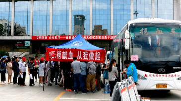 澳门正版资料大全免费歇后语——探索澳门文化宝库中的智慧结晶，澳门文化宝库中的智慧结晶，正版资料大全与免费歇后语探索