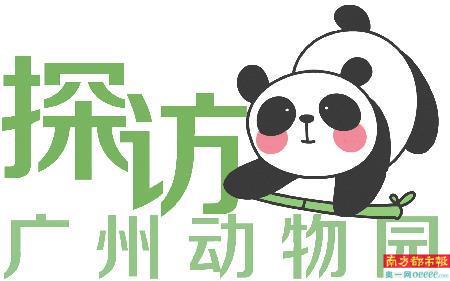 王中王85期指一生肖，深度解析与预测，王中王85期生肖深度解析与预测，揭秘生肖运势走向