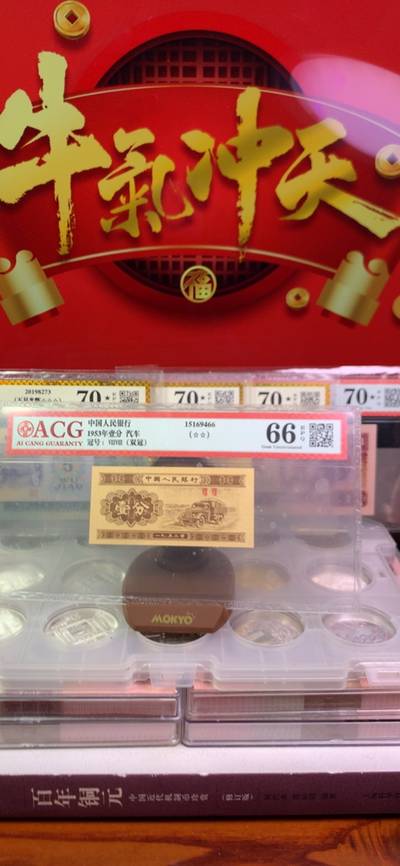 揭秘103838con王中王平特一肖，背后的故事与秘密，揭秘，王中王平特一肖背后的故事与秘密