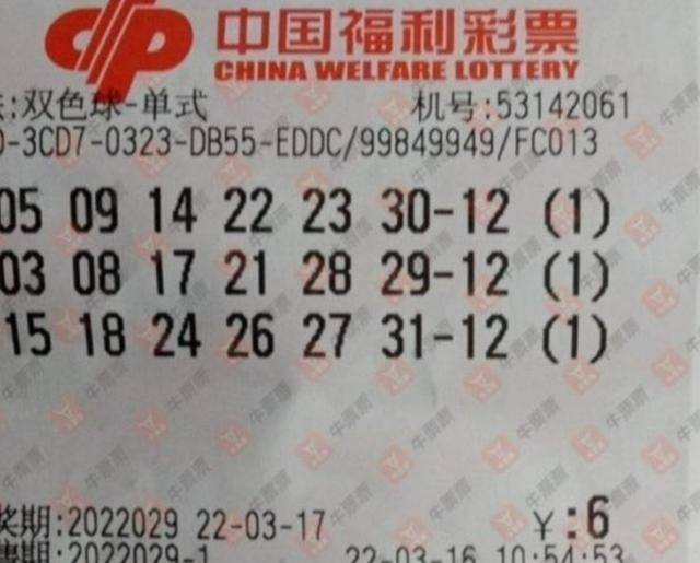 揭秘029期王中王平特一肖，背后的故事与奥秘，揭秘，王中王平特一肖背后的故事与奥秘（第029期）