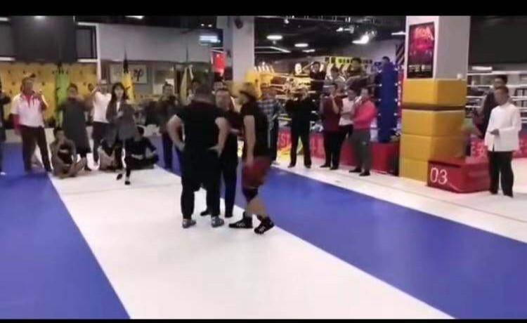 武林王中王与生肖传奇——探寻武林中的王者之相，武林王中王与生肖传奇，探寻武林王者之相的奥秘