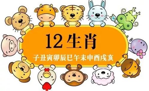 一十二肖，探寻古老传统的奥秘与魅力，探寻十二生肖古老传统的奥秘与魅力