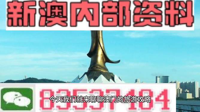 新澳门精准资料大全管家婆料，探索与解析，澳门精准资料大全解析，探索管家婆料内幕