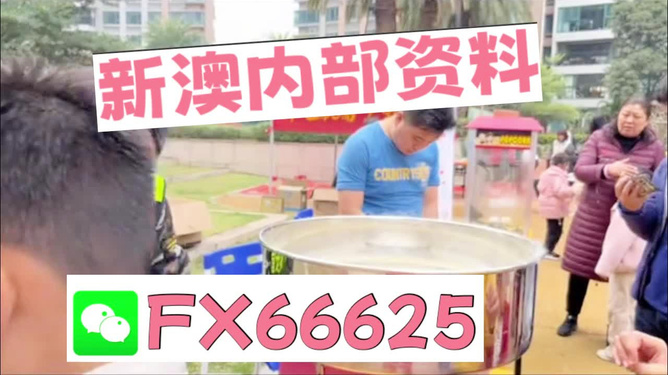 澳门正版免费全年资料大全旅游团，探索澳门之旅的完美选择，澳门正版全年旅游资料大全，探索澳门之旅的首选旅游团