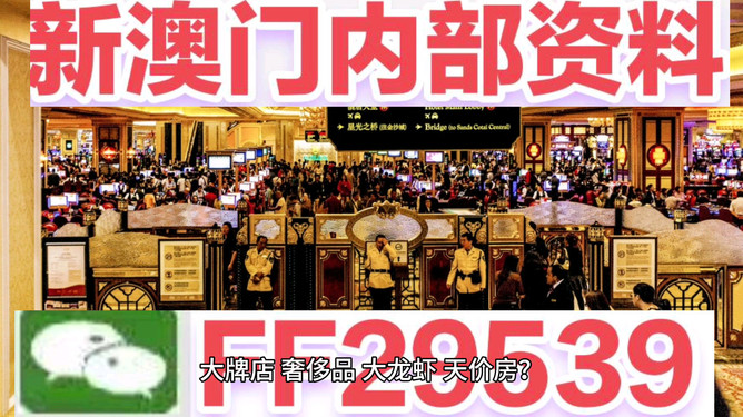 澳门今晚开什么，揭秘博彩文化的魅力与神秘面纱，澳门博彩文化揭秘，魅力与神秘面纱下的今晚开奖探秘