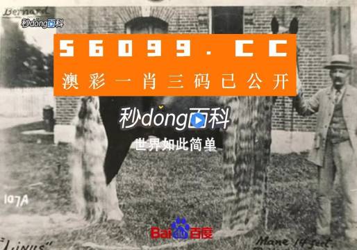 王中王心水必中一肖，揭秘背后的秘密与策略，揭秘王中王心水预测生肖背后的秘密策略