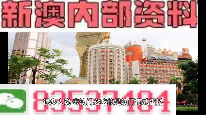 新澳门精准的资料大全——全方位解读澳门资讯，澳门资讯大全，全方位解读新澳门精准资料