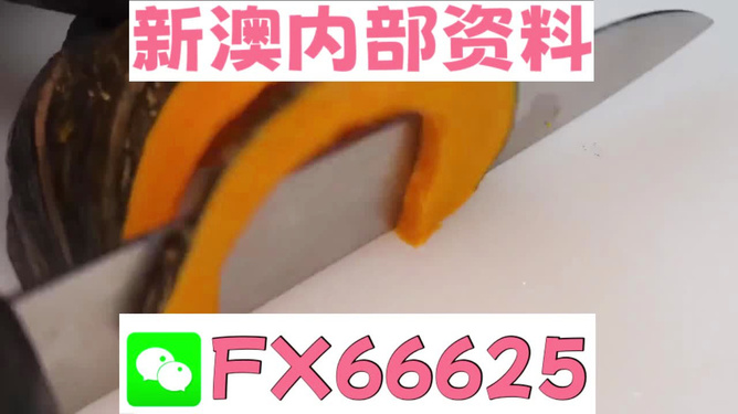 新澳门精准资料大全管家婆料，探索与解析，澳门精准资料大全解析，探索管家婆料内幕