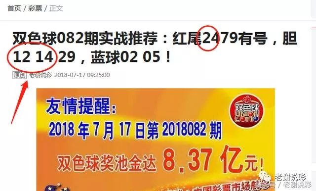 王中王082期指一生肖——探寻背后的奥秘与意义，王中王082期生肖背后的奥秘与探寻意义