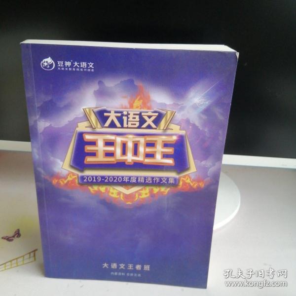 揭秘王中王资料，探索2019年生肖运势与特点，揭秘王中王资料，2019年生肖运势深度探索