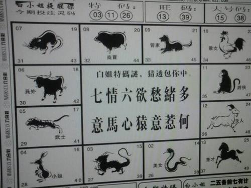 探索神秘文化，十有码数又有五猜生肖，揭秘神秘文化，生肖与码数之谜
