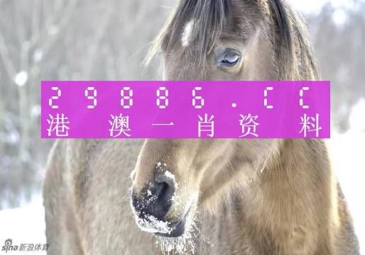 澳门一肖一码100%准确预测——揭秘彩票秘密，澳门彩票预测揭秘，一肖一码100%准确预测揭秘！