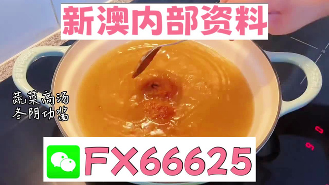 揭秘数字背后的故事，探寻王中王与肖中的SEO奥秘，揭秘数字背后的故事，王中王与肖中SEO的神秘奥秘探索