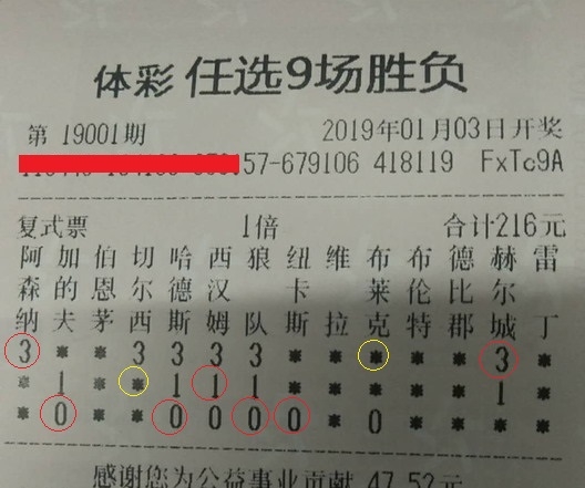 揭秘王中王平特一肖，背后的故事与奥秘，揭秘王中王平特一肖背后的故事与奥秘探秘