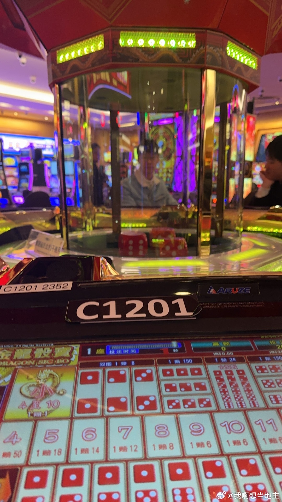 葡京王中王，一肖中特，揭秘背后的秘密与策略，揭秘葡京王中王一肖中特策略与秘密