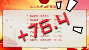 王中王016期指一生肖，深度解读与SEO优化策略，王中王016期指一生肖，深度解读与SEO策略全解析