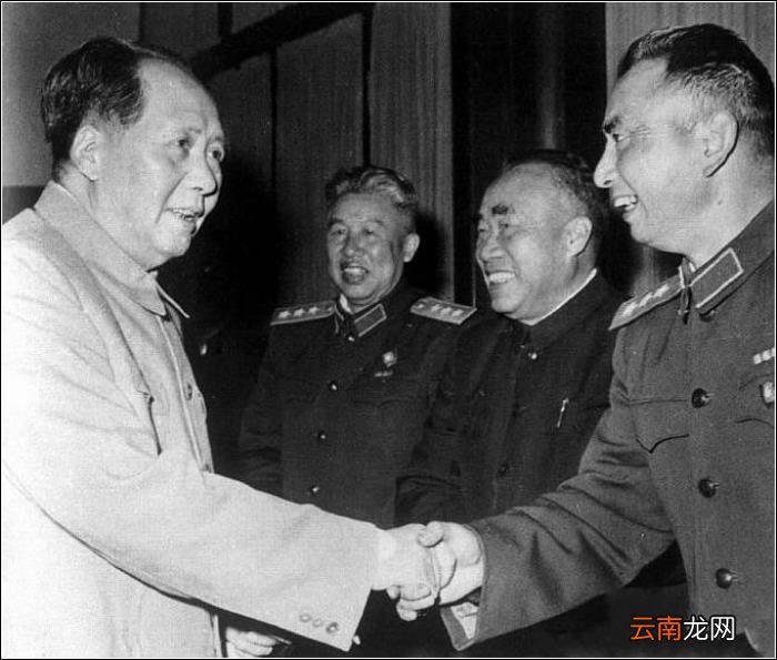 王中王平肖一特，聚焦关键词背后的故事与奥秘，聚焦关键词背后的故事与奥秘，王中王平肖一特揭秘之旅
