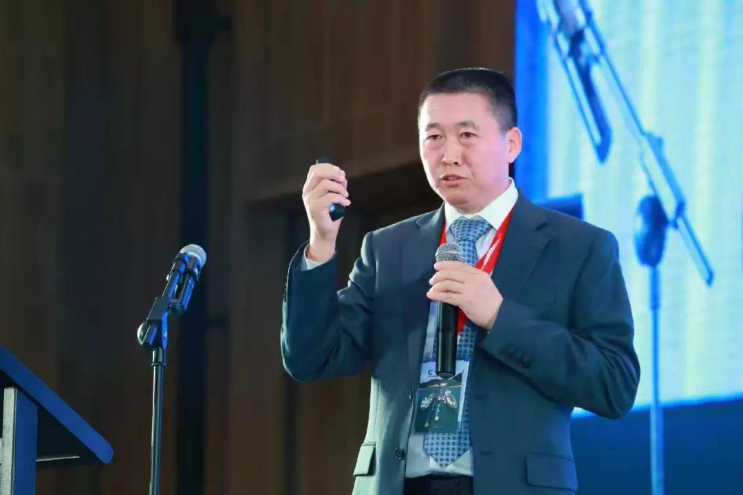 2025新奥正版资料免费提供，全面解析与深度探索，2025新奥正版资料全面解析与深度探索，免费提供的独家资源
