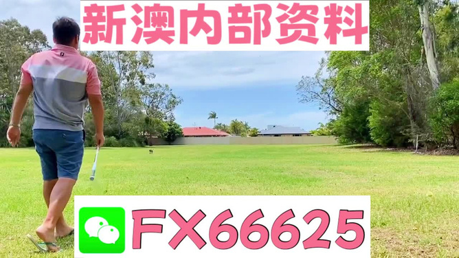 王中王肖四不像肖一肖特，深度解读背后的故事与奥秘，王中王肖四不像肖一肖特，背后的故事与奥秘深度解读