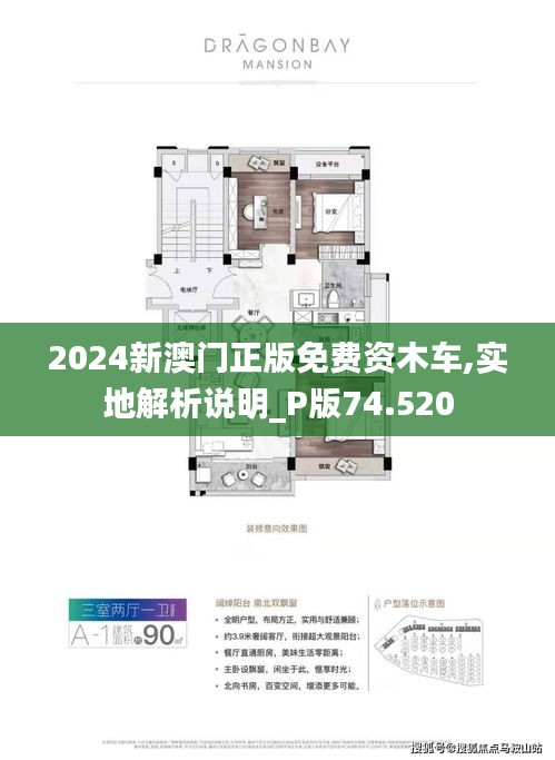 探索澳门新机遇，2025新澳门正版免费资源概览，澳门新机遇探索，2025正版免费资源概览