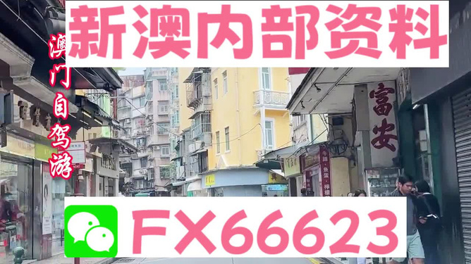 2004新澳精准资料免费分享，回顾与探索，2004新澳精准资料回顾与探索，免费分享